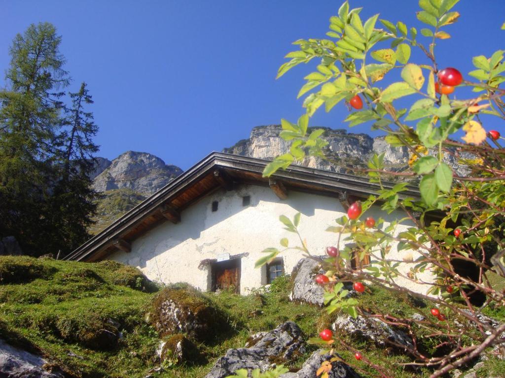 דירות לופר Haus Alpengruss מראה חיצוני תמונה
